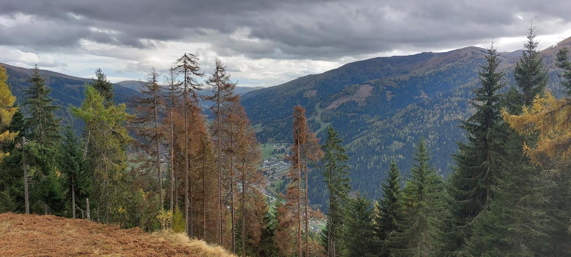 Apartment Una Bad Kleinkirchheim * Bad Kleinkirchheim